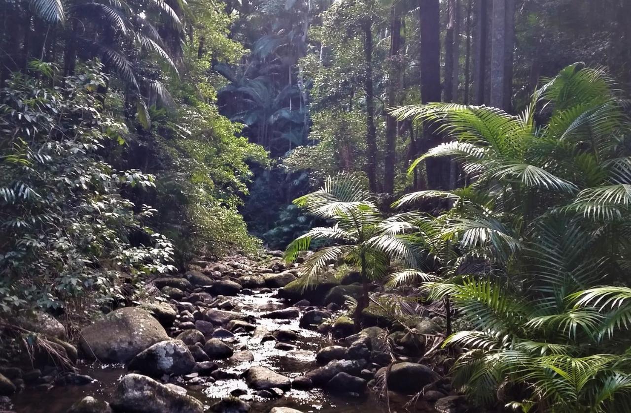 Bellthorpe Stays Maleny Kültér fotó