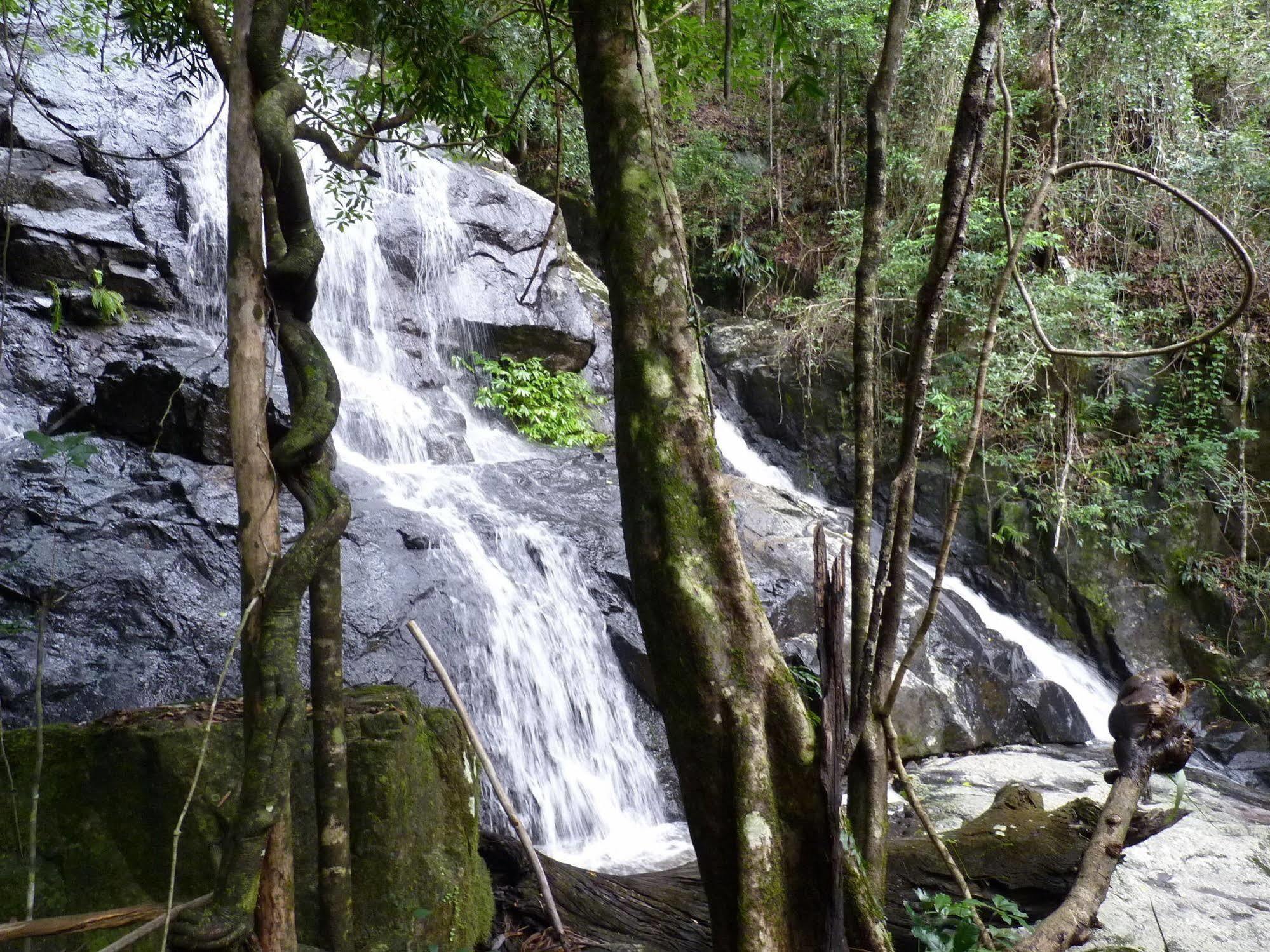 Bellthorpe Stays Maleny Kültér fotó