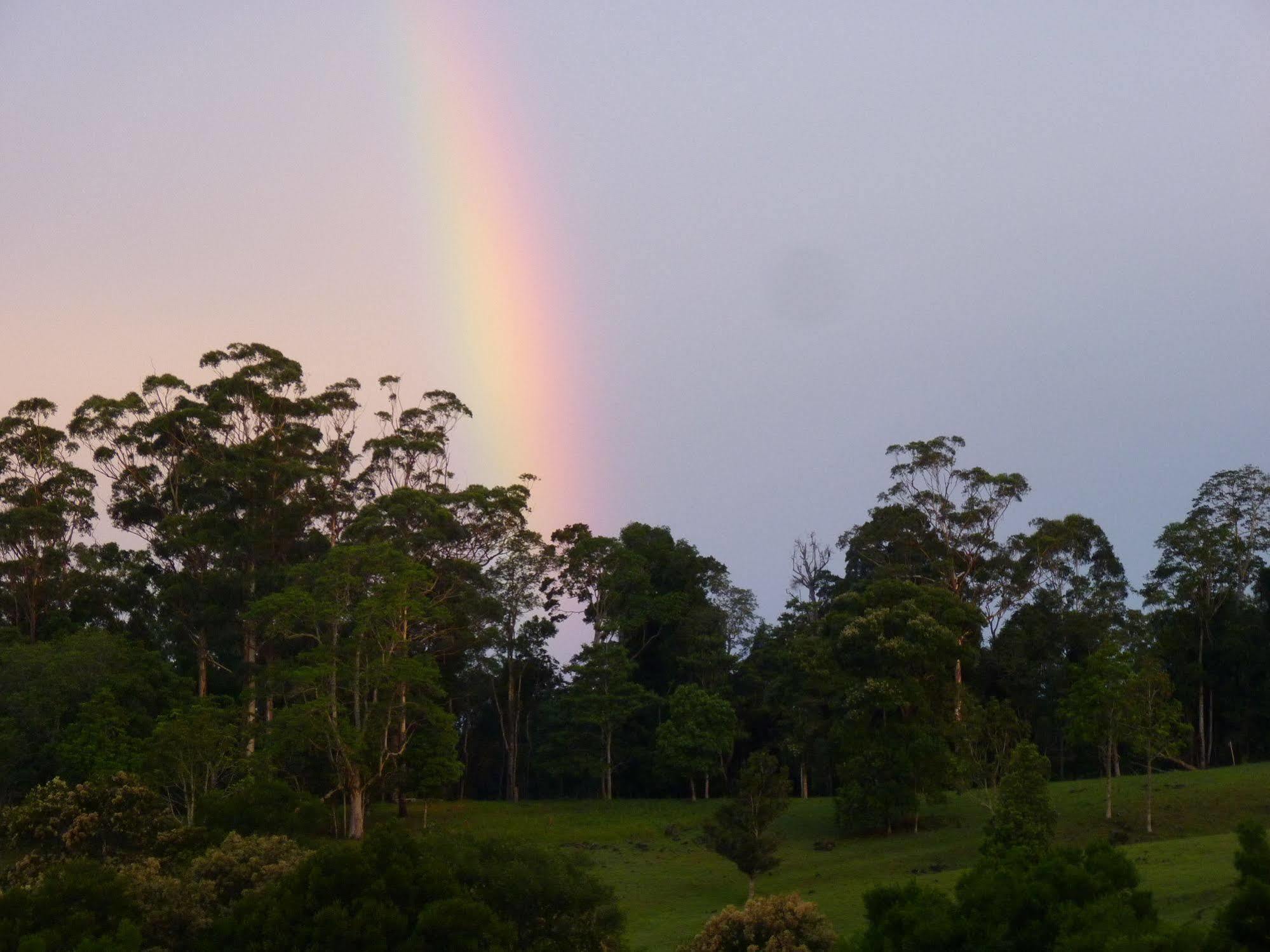 Bellthorpe Stays Maleny Kültér fotó